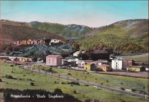 cartolina pietreta